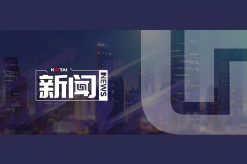 AI革新加速，星空·综合体育数码2024全年毛利额营收逆势双升